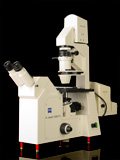 AxioVert S100